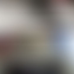 Speedivac pump from Martin Lorenz