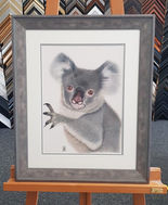 Koala Print