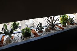 BAC A FLEURS VUE PARKING A LOUER 210M2 TERRASSE  franchet d esperey location bureau villa 