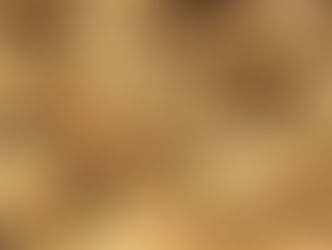 Faire de délicieux cookies