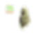Rainbow Sherbet