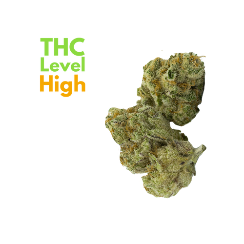 Grapes & Cream Cigalar