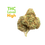 Thumbnail: Galati Gummy