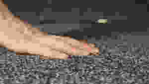 Plush style carpet.