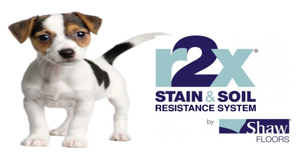 Shaw r2x stain and soil resistance picture.