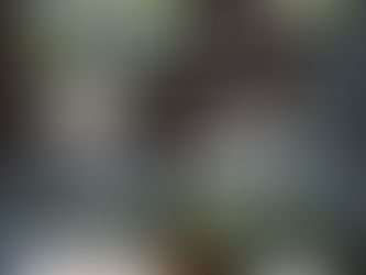 今年も中止や延期が相次ぎます