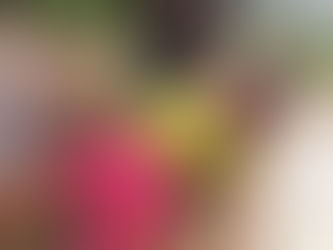 ここからに春です