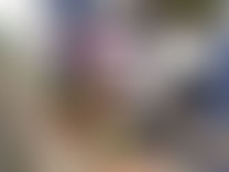 プランタークラブです