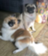 image2 (1).jpeg