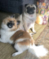 image2 (1).jpeg