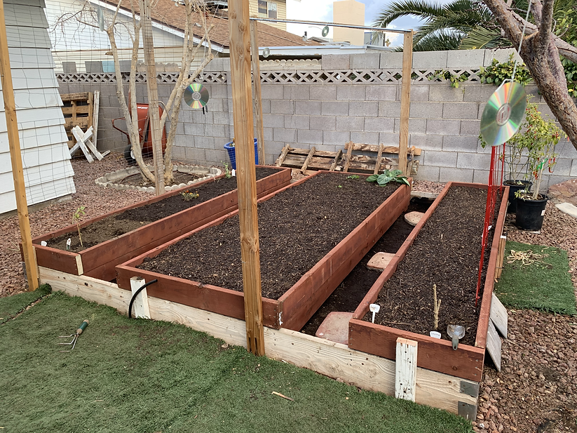 back yard.HEIC