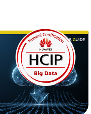 CCIE SP_Rev01.png