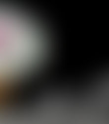 April 19th-24th, 2023- New Moon & Solar Eclipse Aries