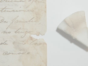CONSERVACIÓN Y PRESERVACIÓN DE DOCUMENTOS PARA ARCHIVO, cursos de verano