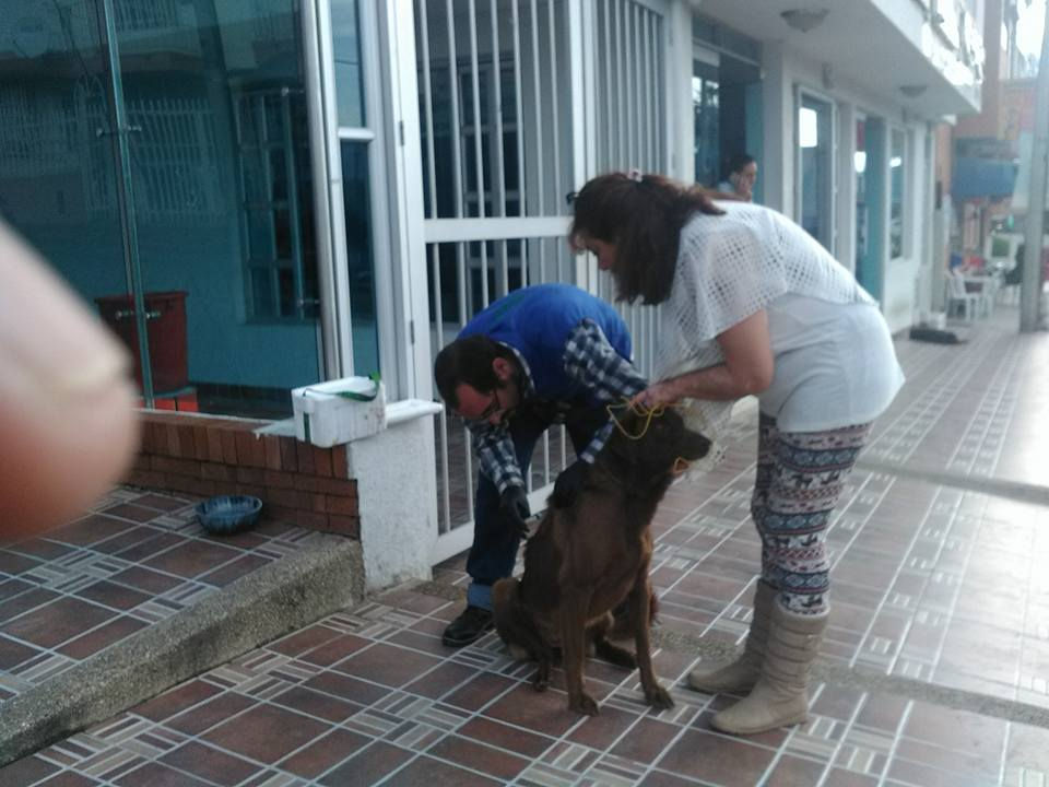 Vacunas Callejeritos