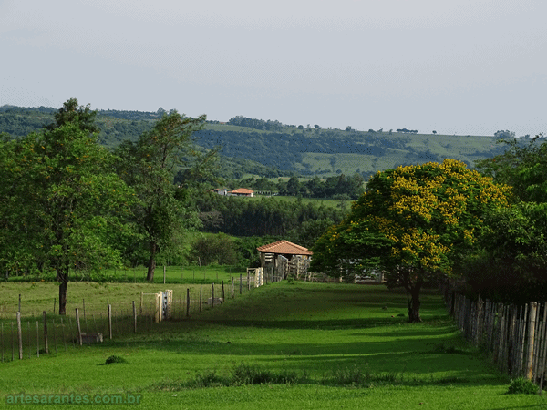 casa no campo