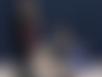 Seinäjoki KV & Vuoden näyttelykoira 2025 tulokset