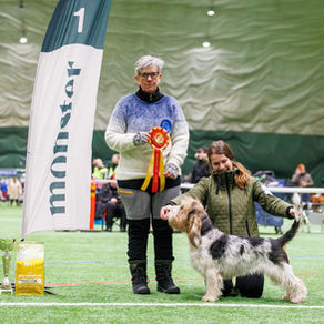 Kajaani KV ja Messari Voittaja näyttelyt