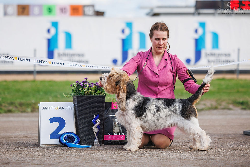 Pepsi took BEST IN SHOW 2 both in Turku and Heinola!!