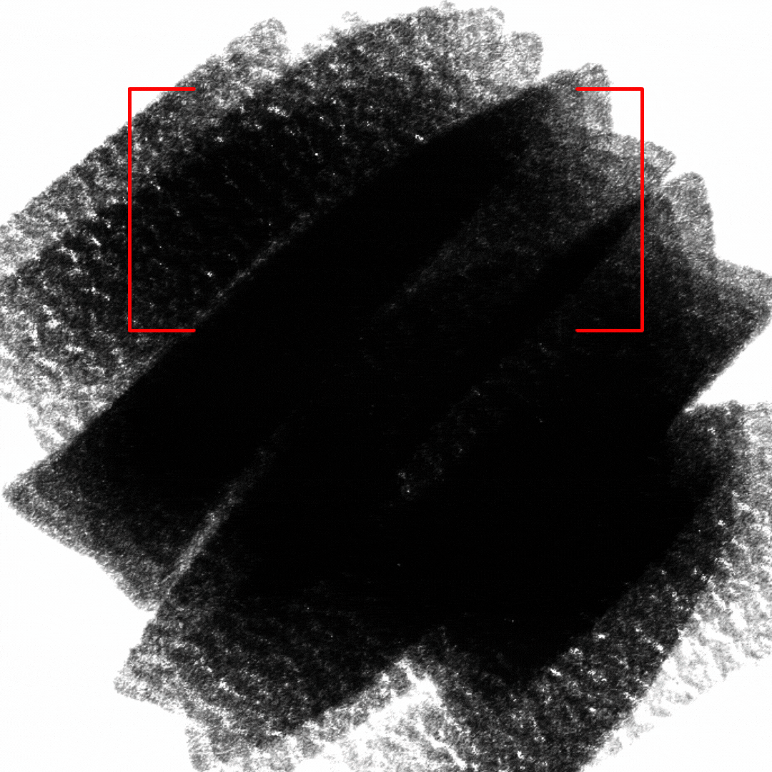 Black Friday Poster (2).gif