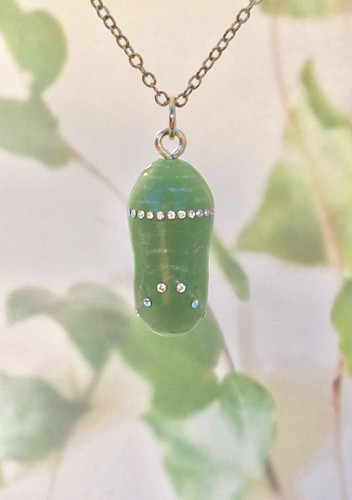 FRESH MONARCH BUTTERFLY CHRYSALIS WITH 