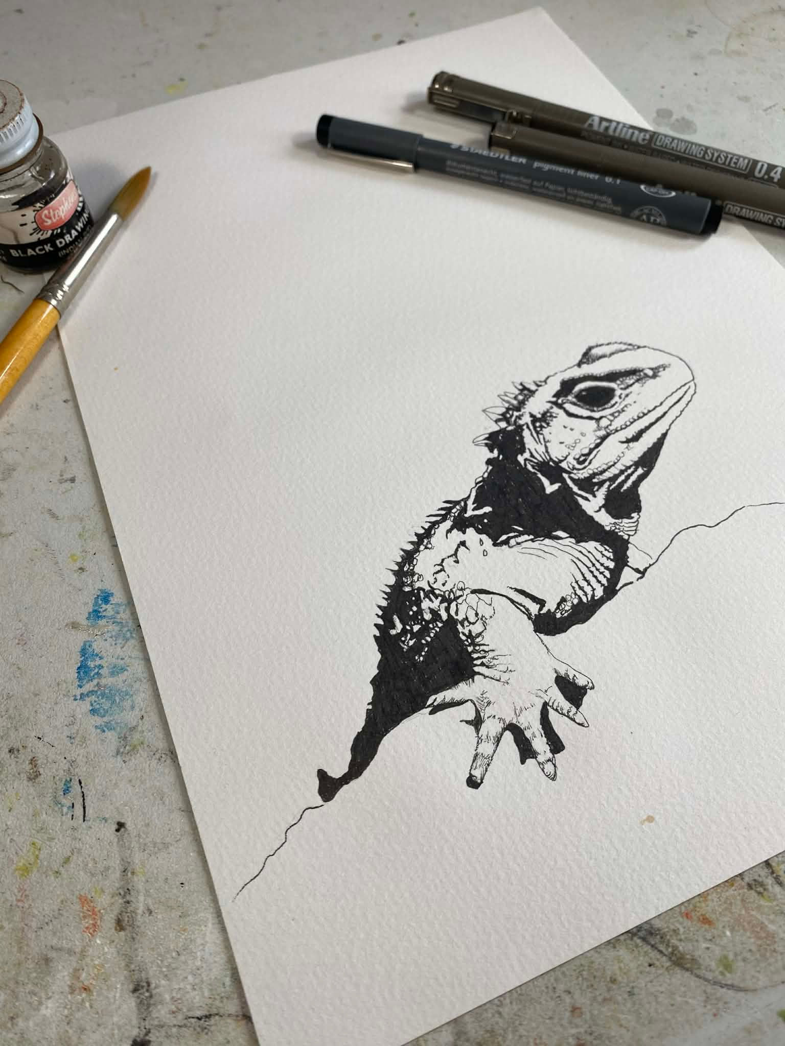 TUATARA INK DRAWING - art print