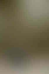 Boston Fine Art Wedding Photographer