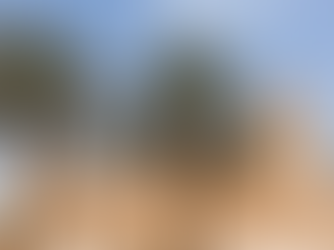 The Most Profitable Business Opportunities Saudi Arabia Offers