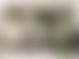 Reverenciando os ancestrais!