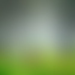 Alegria de pertencer!