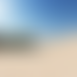 O caminho da sabedoria!