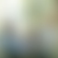 Quando os filhos se emaranham I