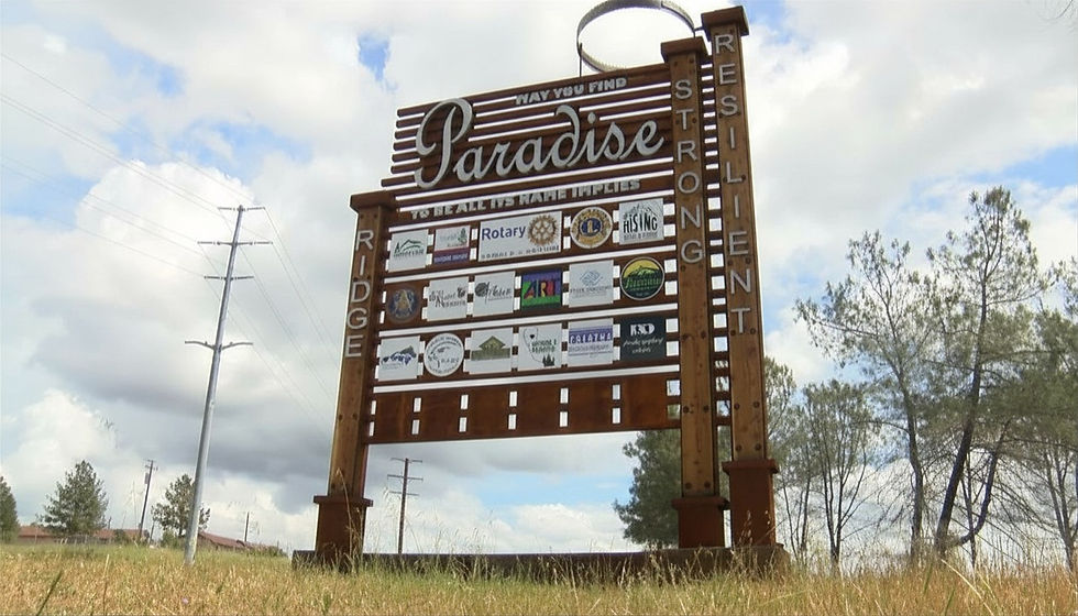 Welcome to Paradise - Edited.jpg