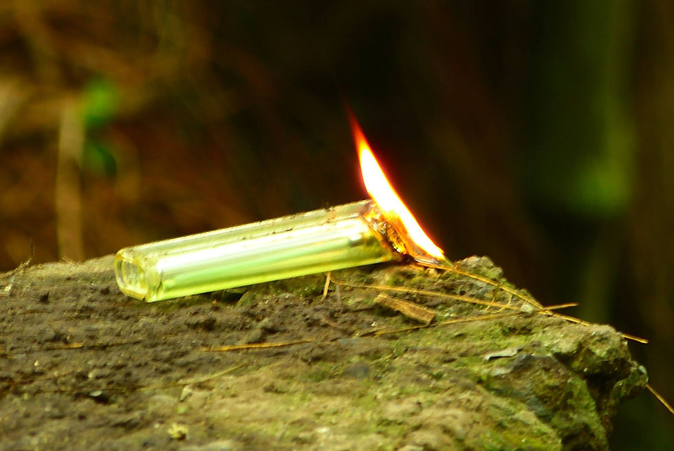 Fire burn babylon