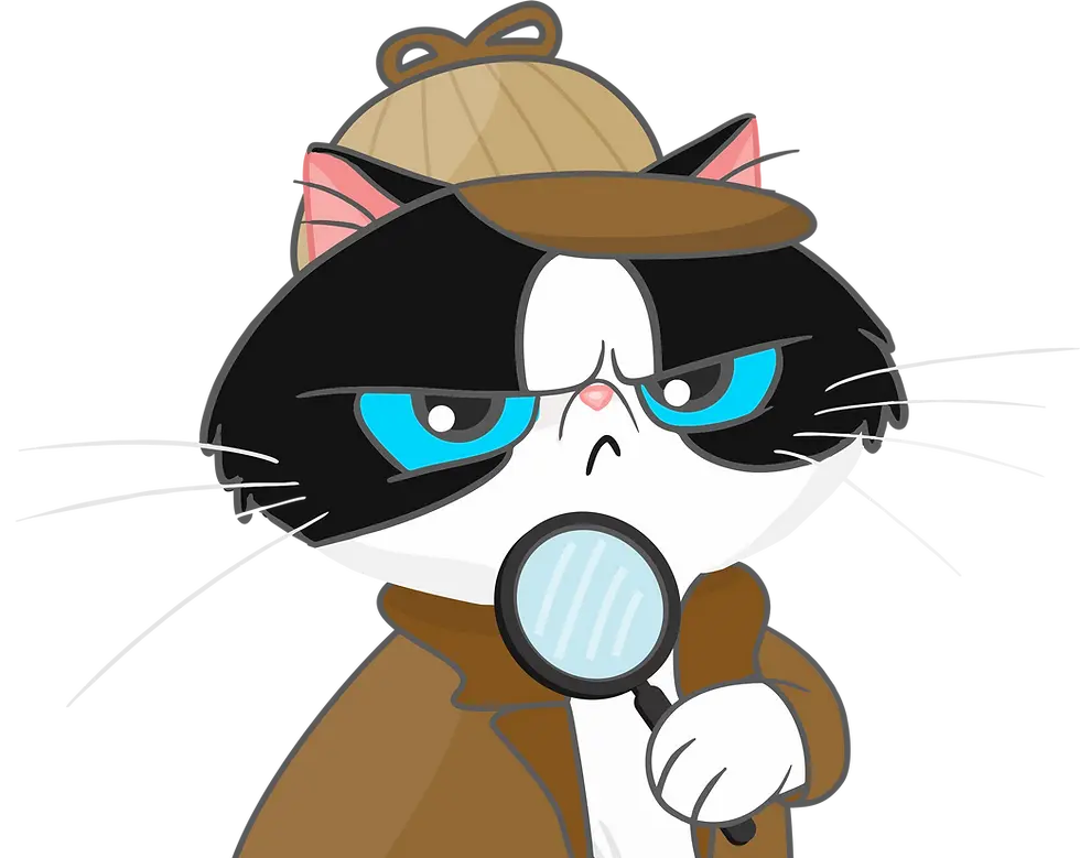 PSI-DETETIVE.webp
