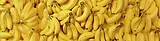 BANANAS.webp