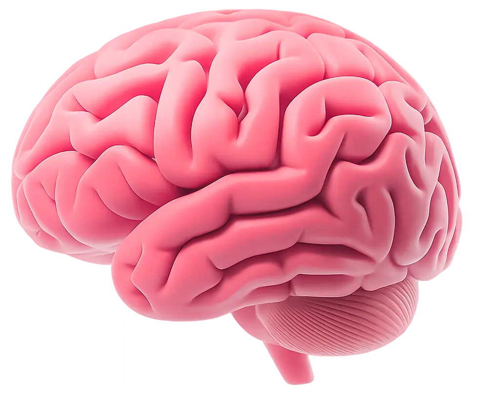 BRAIN.webp
