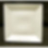 square dinner plate