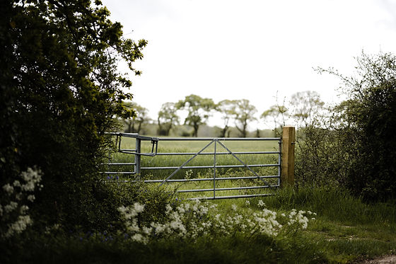 Gates