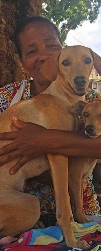2 dogs and owner.jpg