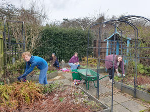 From Seedling to Garden: How Dundee Changemakers Helped ‘Room to Be’ Grow