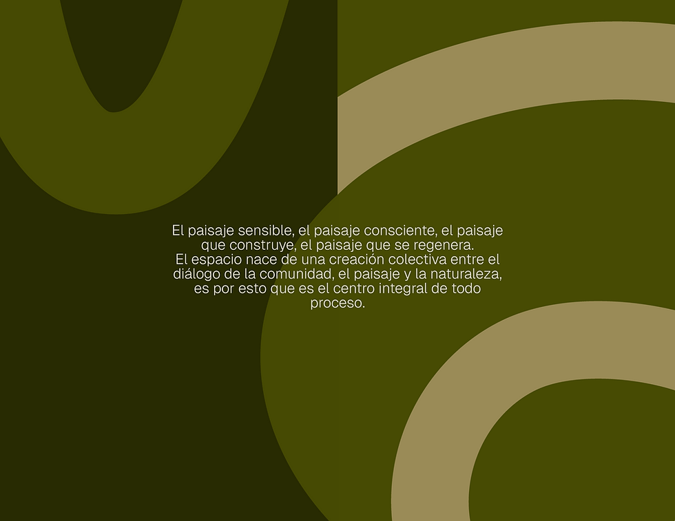 Branding, Branding visual, diseñadora, identidad visual, visual identity, brand designer, NYC brand designer, logo designer, latina designer, local designer, brand designer in NYC