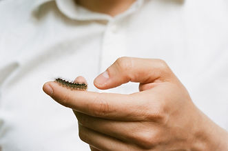 conscience MonAcupuncteur.ca