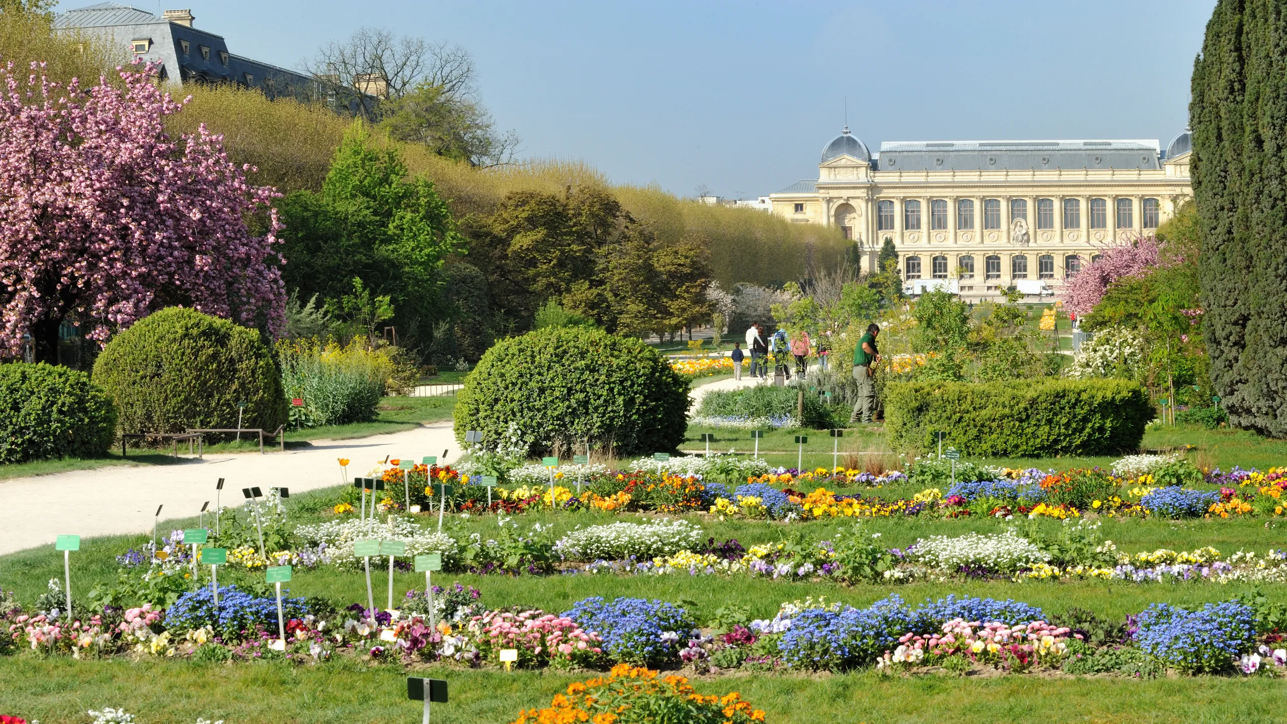 Jardin-des-Plants_2018_jardin_des_plantes_9164_(c)_f-g_grandin_mnhn.webp