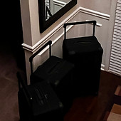 IMG_6909.jpeg