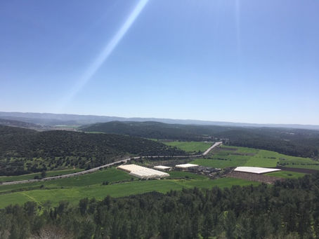 Sovereignty of God in the Elah Valley