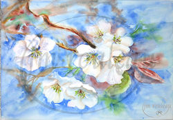 arbres en fleur