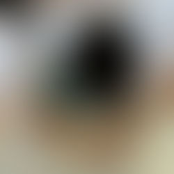 🐟ファミリークラブ🐟