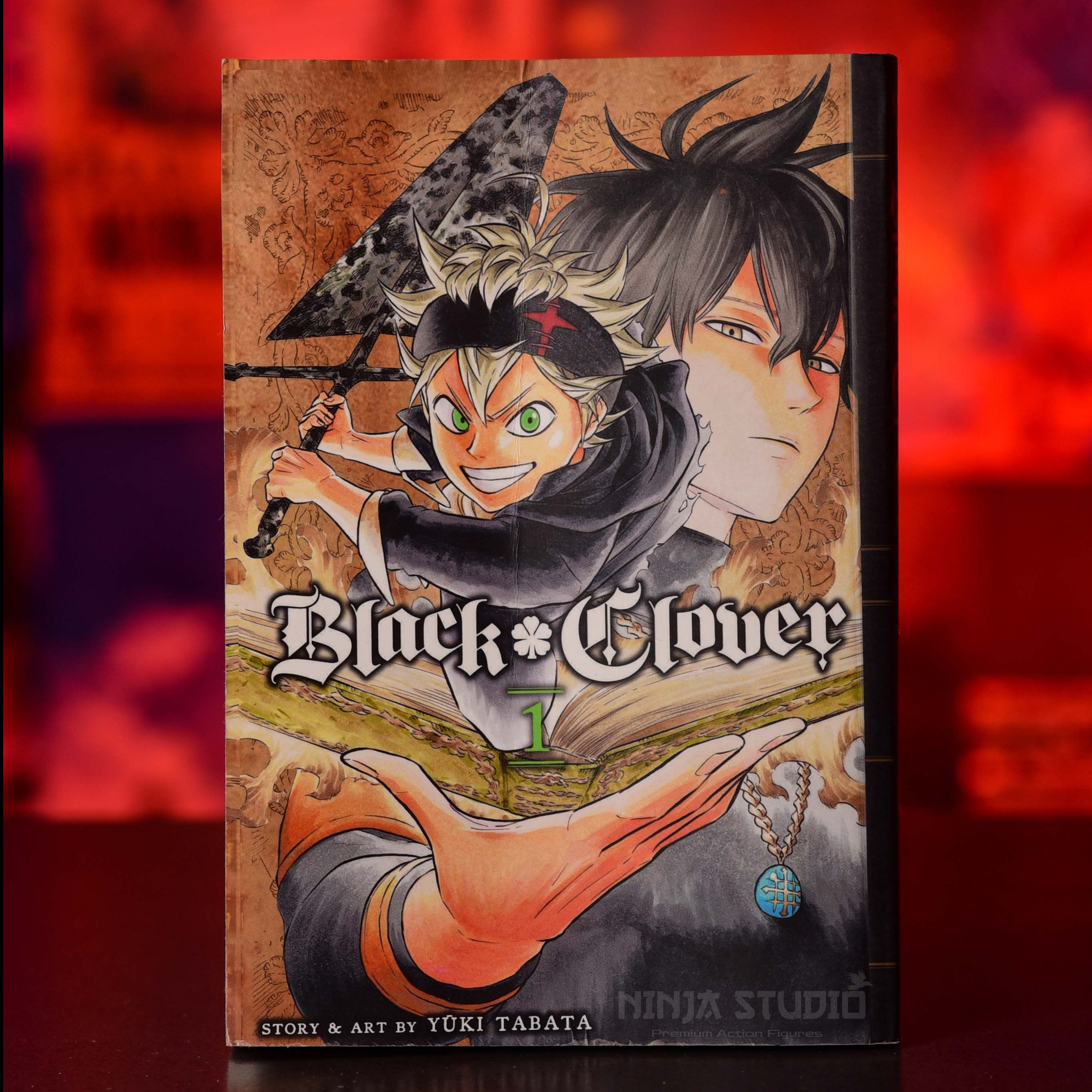 Black Clover, The Boy's Vow: Volume 1
