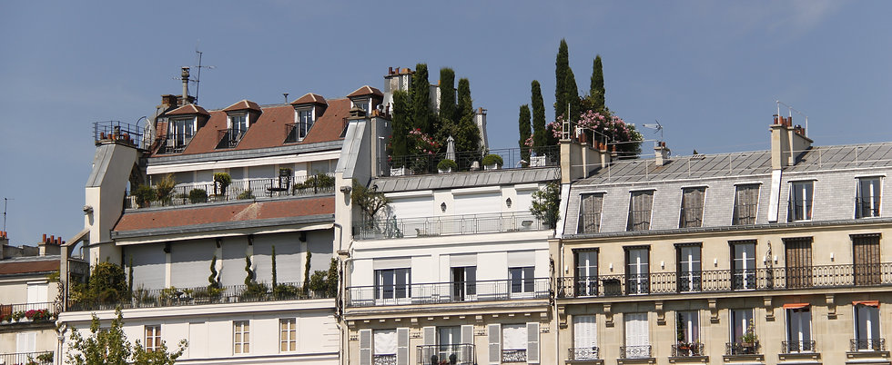 Toits et terasse - Paris